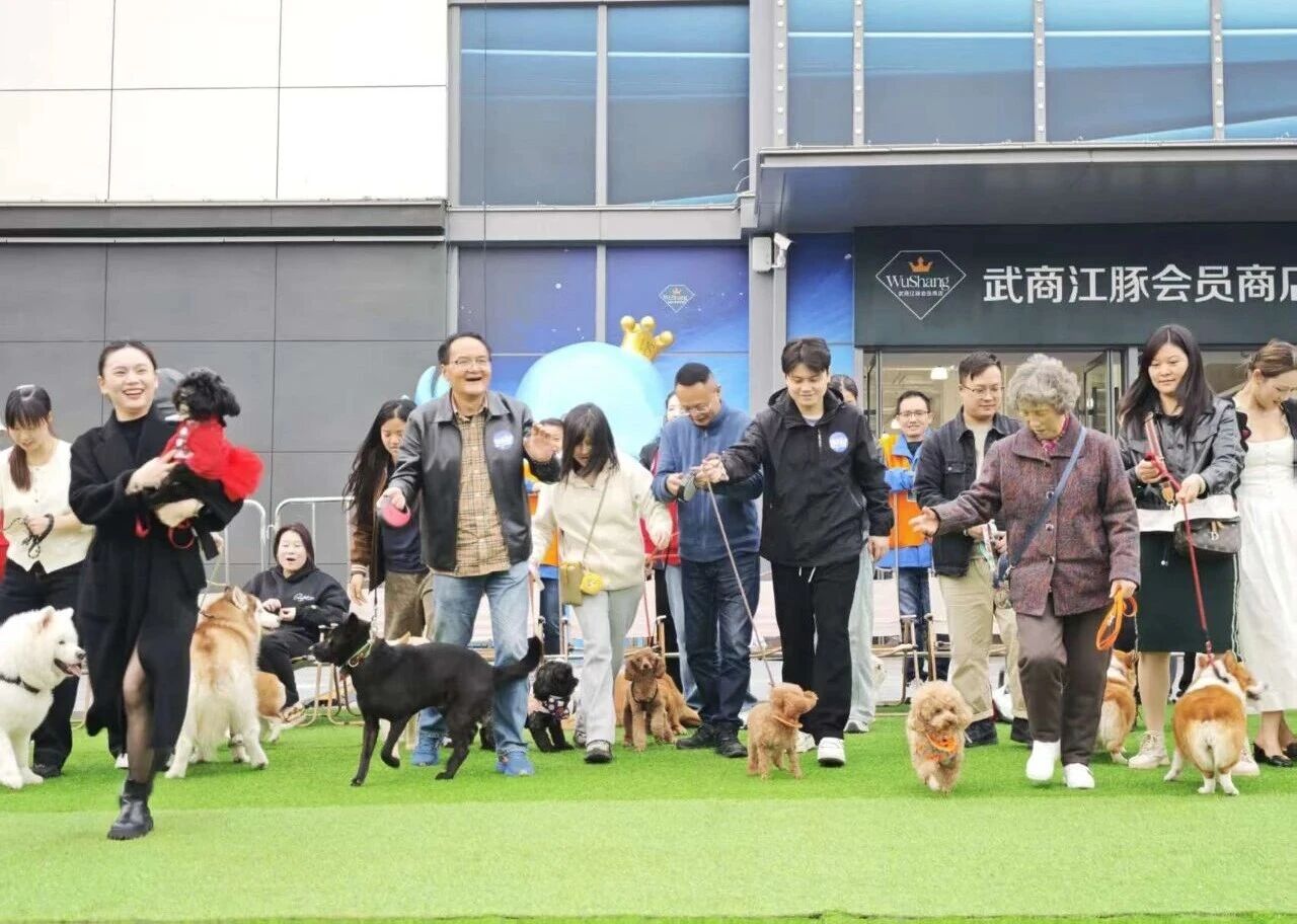 ob�羺��(�й���)���Ӿ���ƽ̨