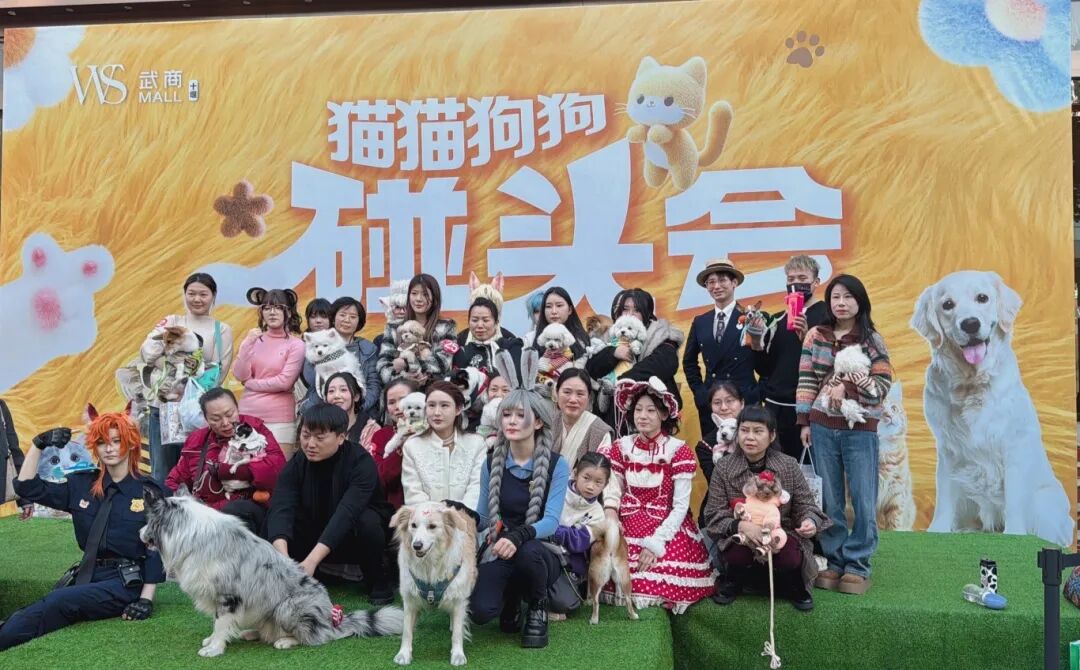 ob�羺��(�й���)���Ӿ���ƽ̨