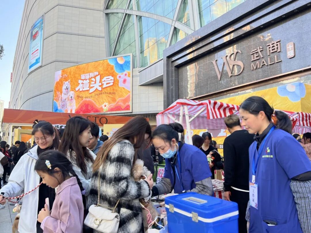 ob�羺��(�й���)���Ӿ���ƽ̨