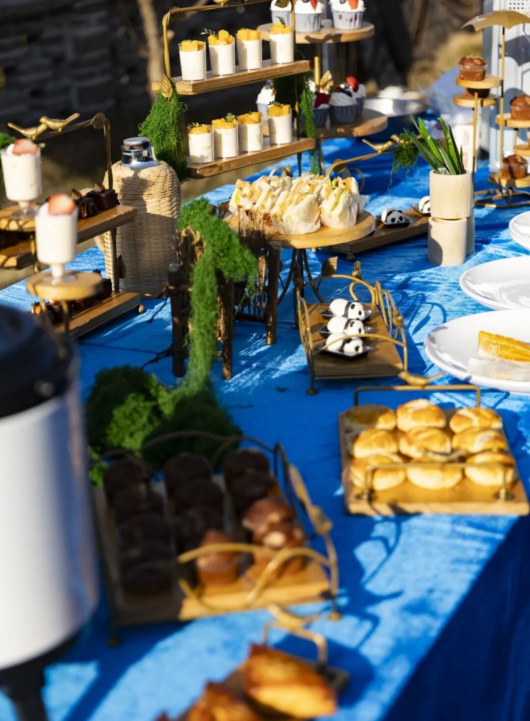 ob�羺��(�й���)���Ӿ���ƽ̨