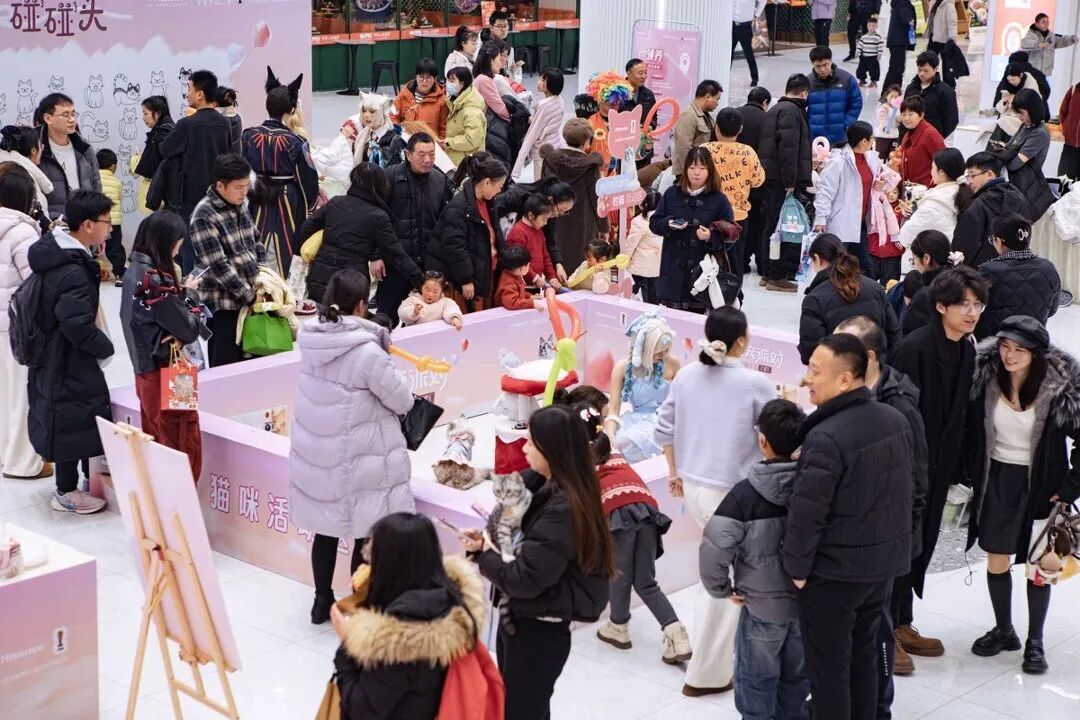 ob�羺��(�й���)���Ӿ���ƽ̨