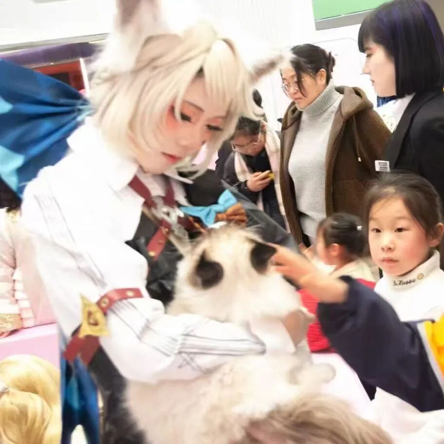 ob�羺��(�й���)���Ӿ���ƽ̨