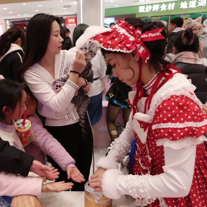 ob�羺��(�й���)���Ӿ���ƽ̨