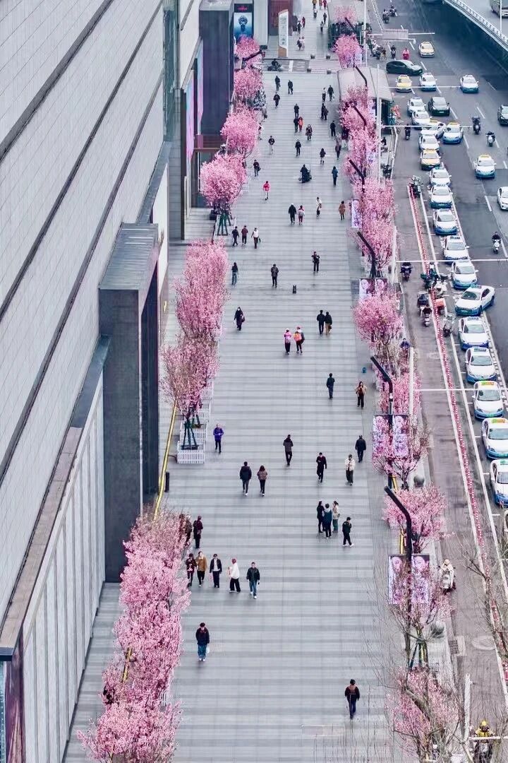 ob�羺��(�й���)���Ӿ���ƽ̨