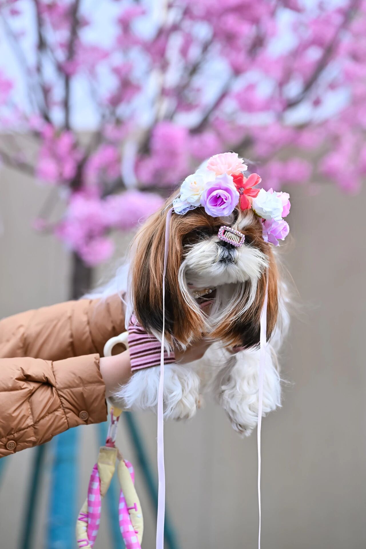 ob�羺��(�й���)���Ӿ���ƽ̨