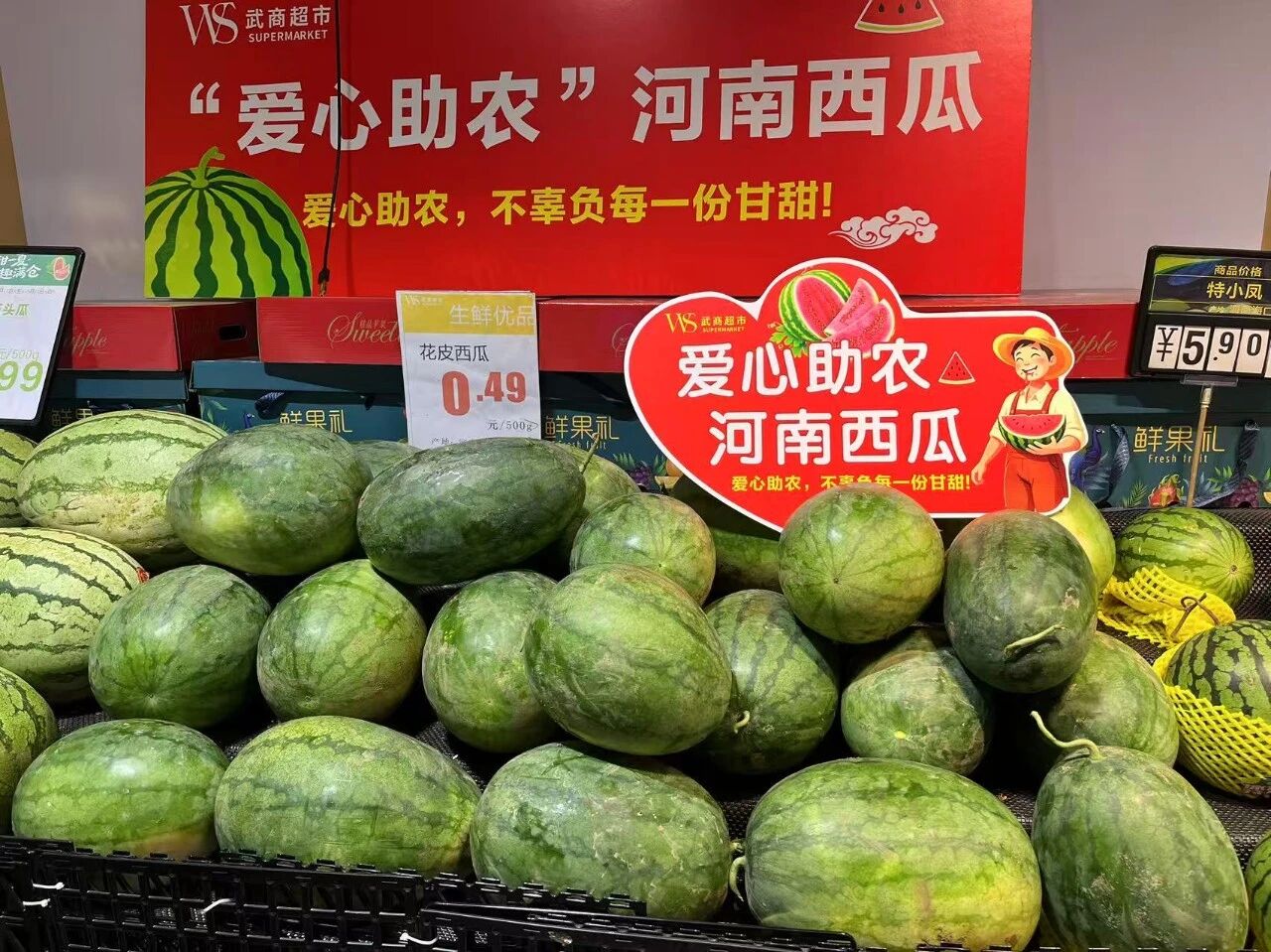 ob�羺��(�й���)���Ӿ���ƽ̨